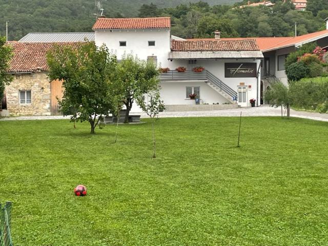 Kmetija Tomazic Vinska Klet - Winery Apartamento Vipava Exterior foto